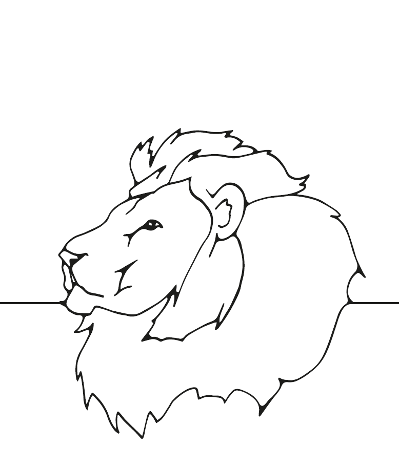 leeuw-tekening